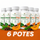 INTESTPURA - 6 POTES + BRINDE: CINTA