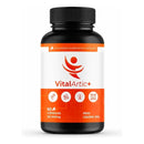 Vital Artic